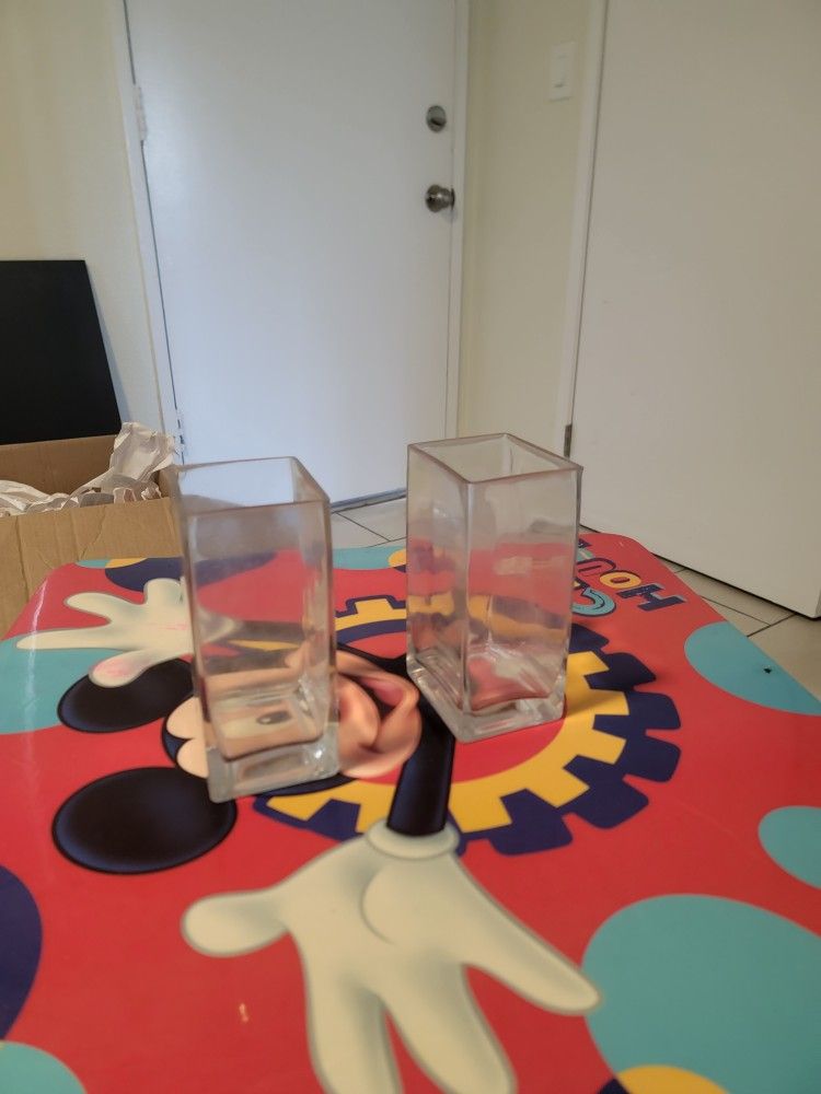 2 Transparent Pot