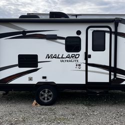 2018 Mallard (heartland) M185