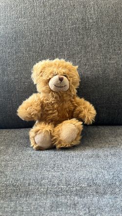 Vintage Build A Bear Teddy