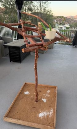 Large Bird Perch