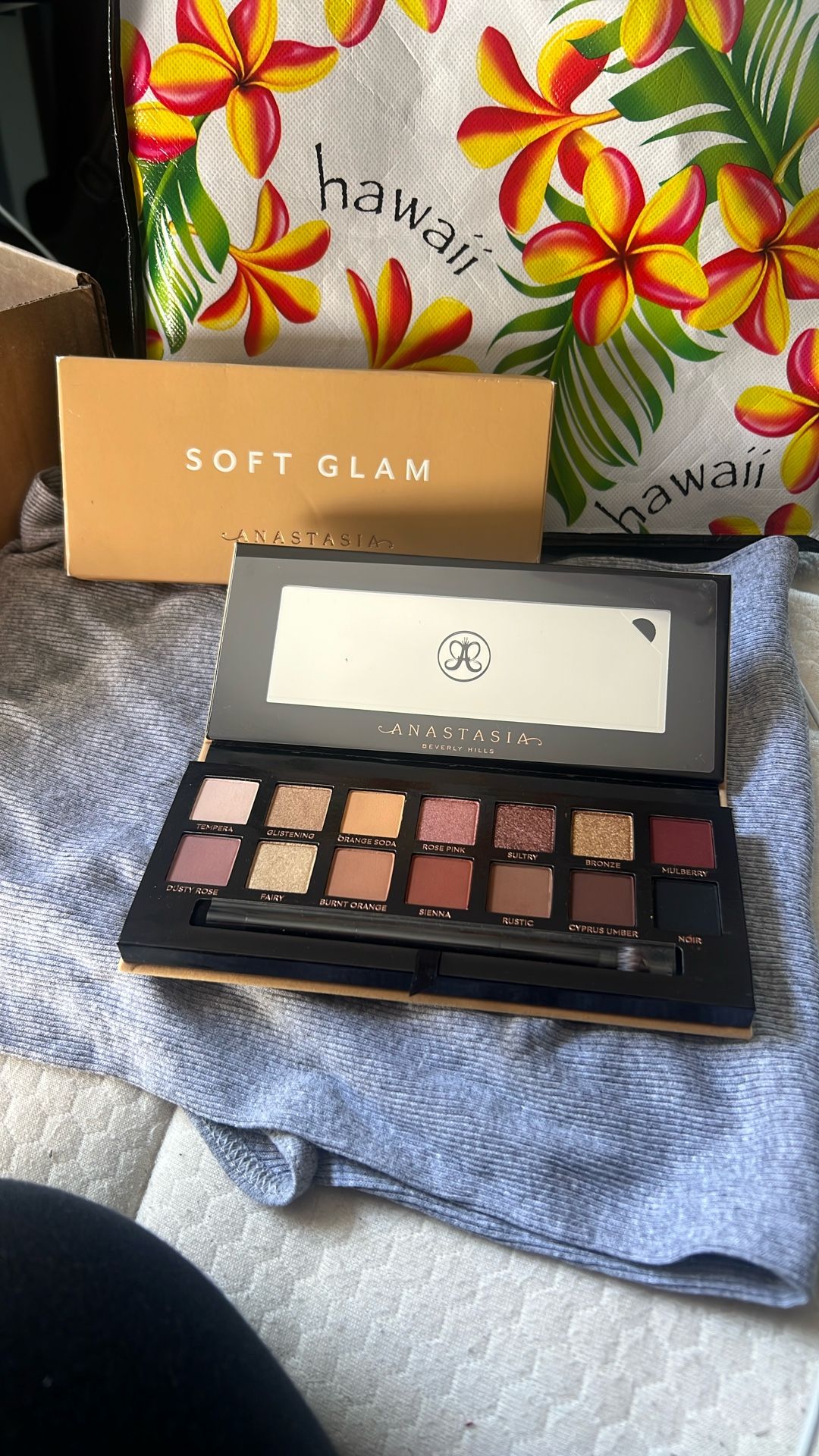 Anastasia Soft Glam Eyeshadow Palette (x2)