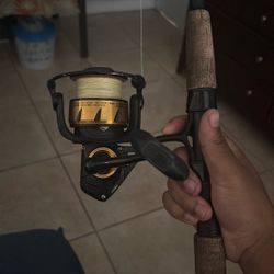 Fishing Rod