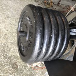 2 Standard 25 Lb  Weight Plates