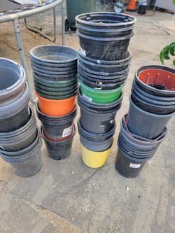 Plastic Planters