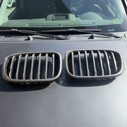 BMW X3 Grill