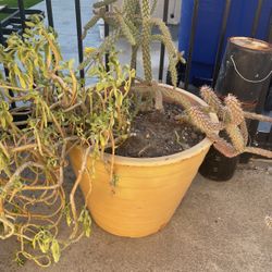 16 1/2 X 21 Ceramic Pot