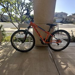 Trek Mountain Bike