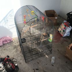 Large Bird/Parrot Cage