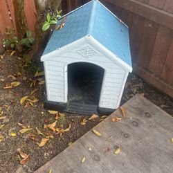 Dog House 