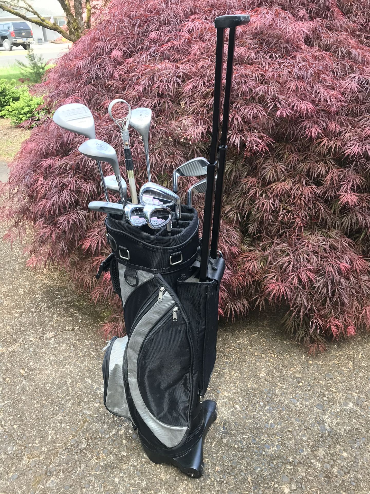 Datrek Women’s Golf Clubs 