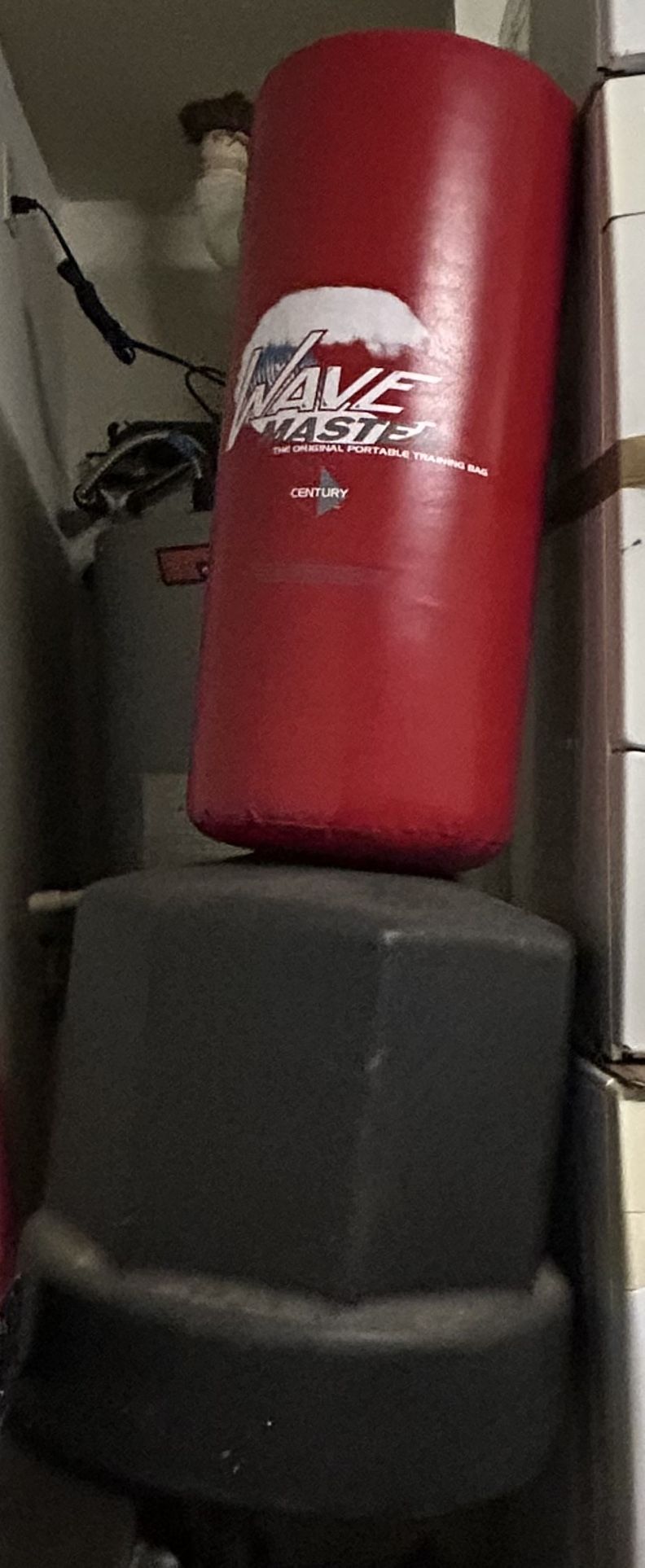 Century Wavemaster Punching Bag