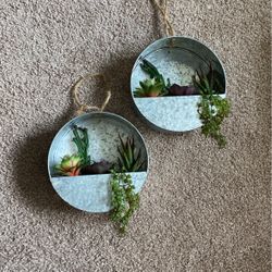 2 Piece Succulent Wall Decoration 