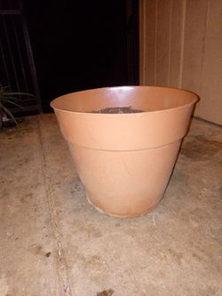 Flower Pot with dirt