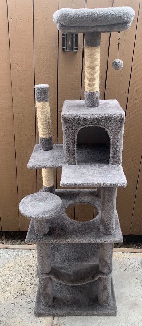 Cat Climber
