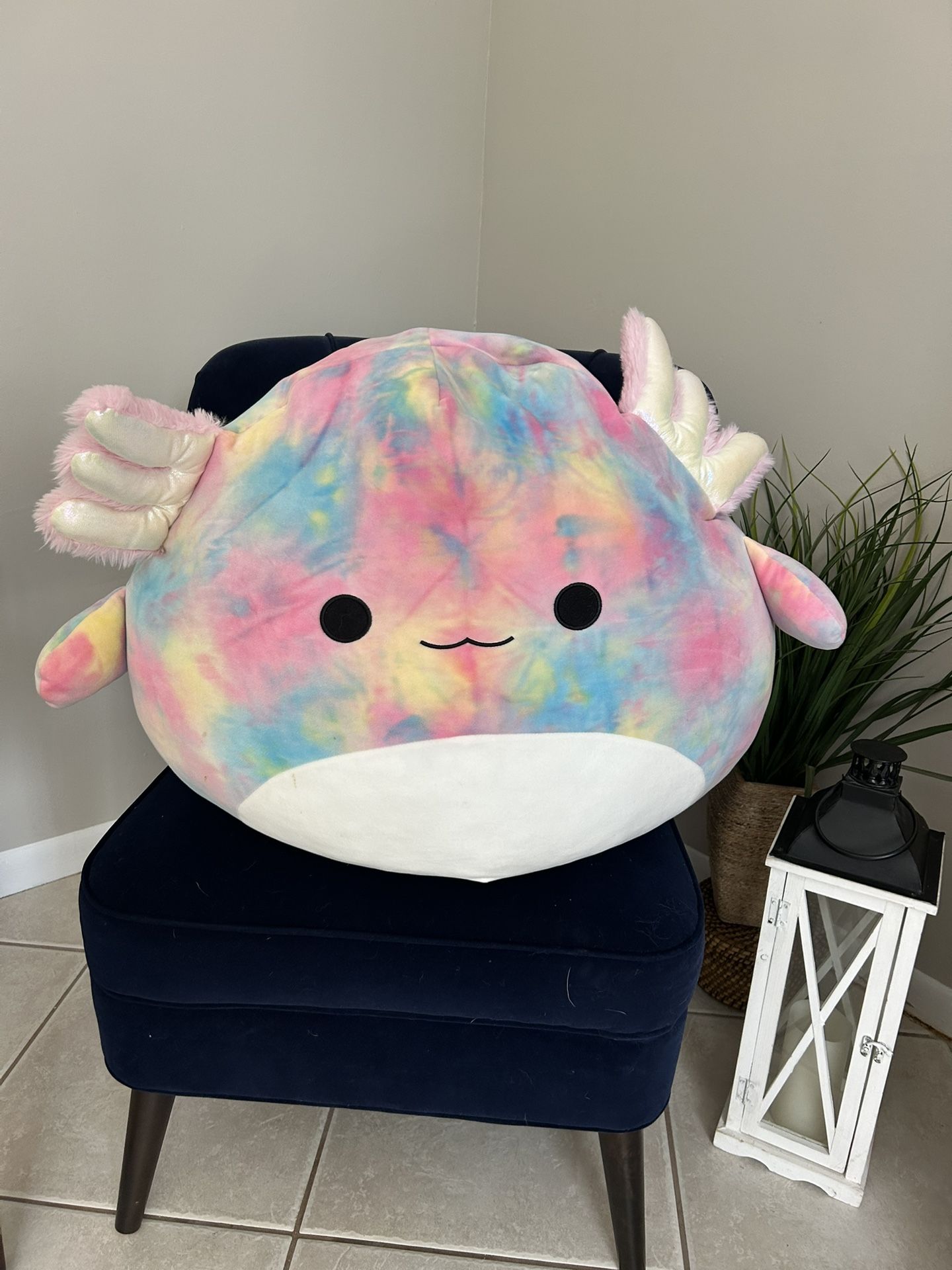 24in Tinley the axolotl