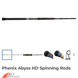 Big Game Fishing Pool Phenix Abyss With Bait Runner 6000 Reel 