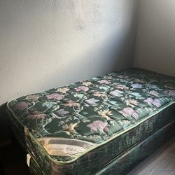 Twin bed and Box spring