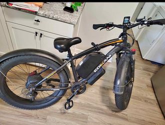 Edikani Fat Tire Electric Bike