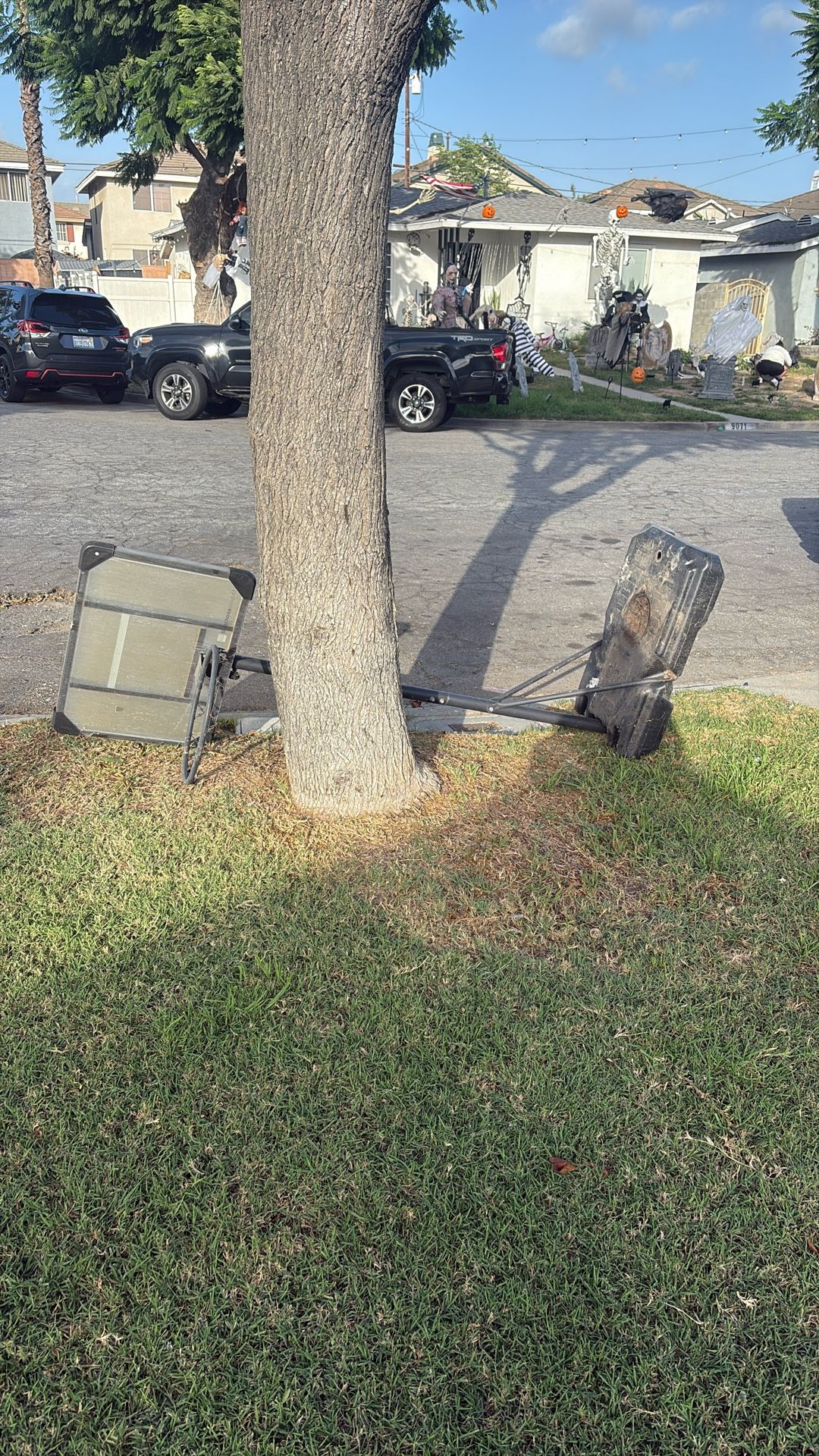 Free Basketball Hoop
