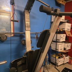 weider platinum xp800