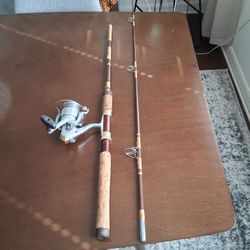 Daiwa Fishing Rod And Reel 6'6"
