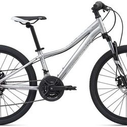 Giant Bike Brand