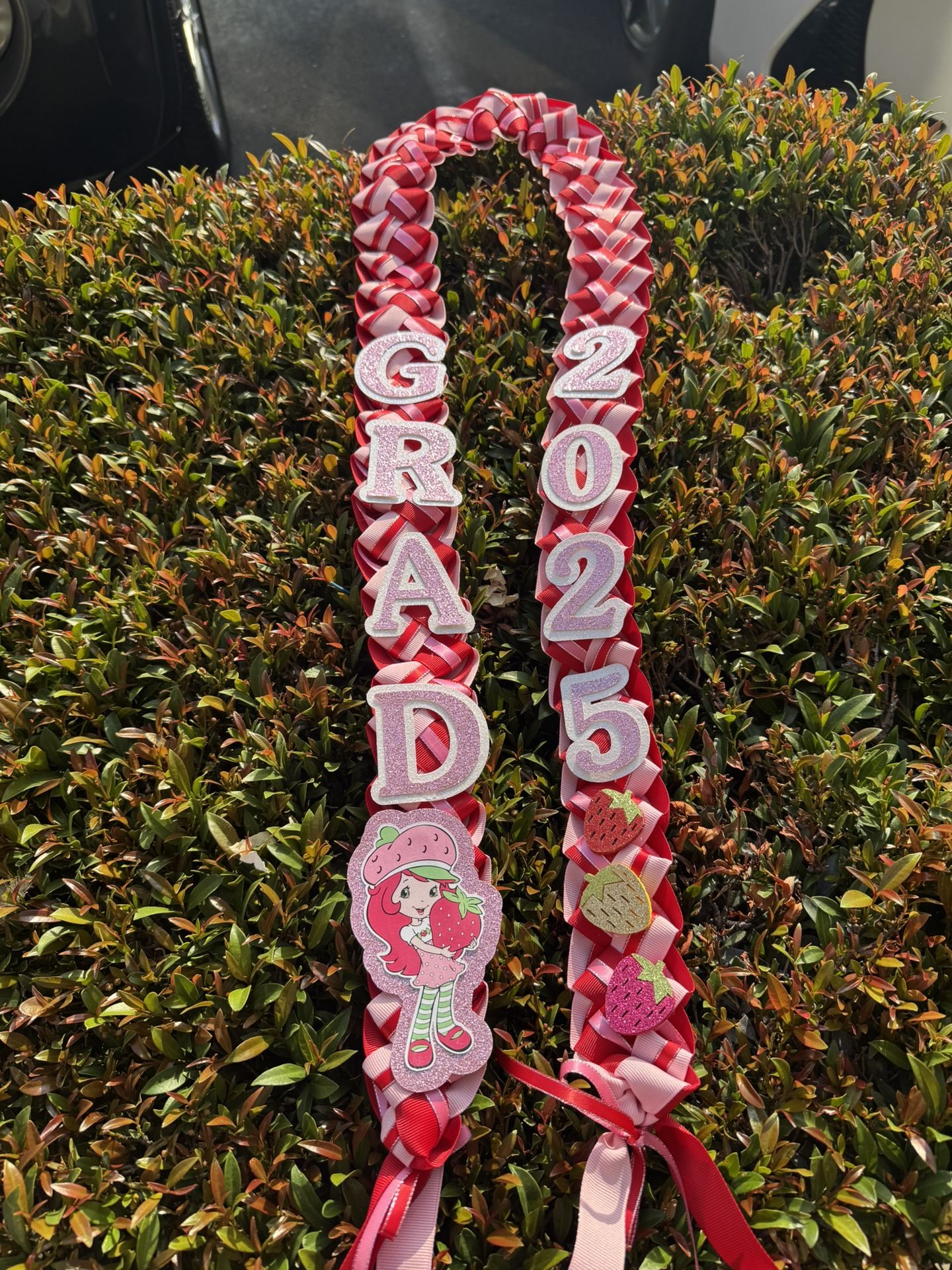 Graduation Or Promotion Ribbon Lei Strawberry Shortcake