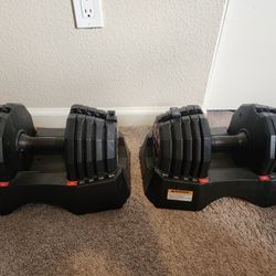 Adjustable Dumbells
