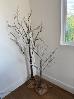 Restoration Hardware Starlit Light-Up Branches - Set of 2 (6’ and 4’)
