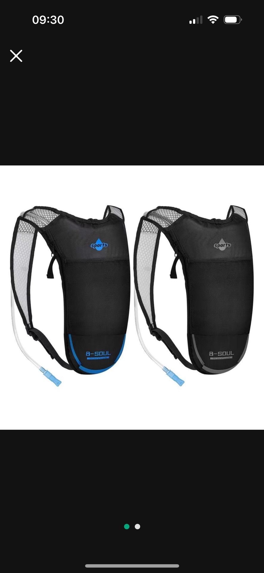 Hydration Backpack