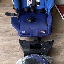 Dino Radian 3 Across