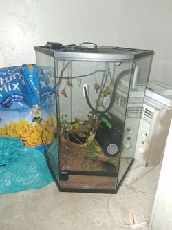 Hexagonal Glass Reptile Terrarium with Accessories