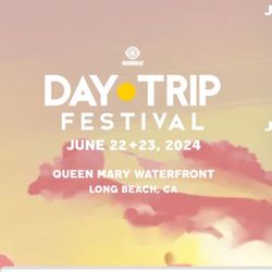 1 Ticket GA Sunday