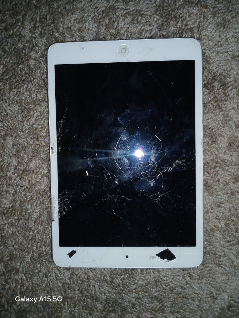 Old Ipad