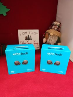 Echo Earbuds