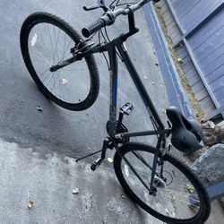 29" Roadmaster Quarry Ridge