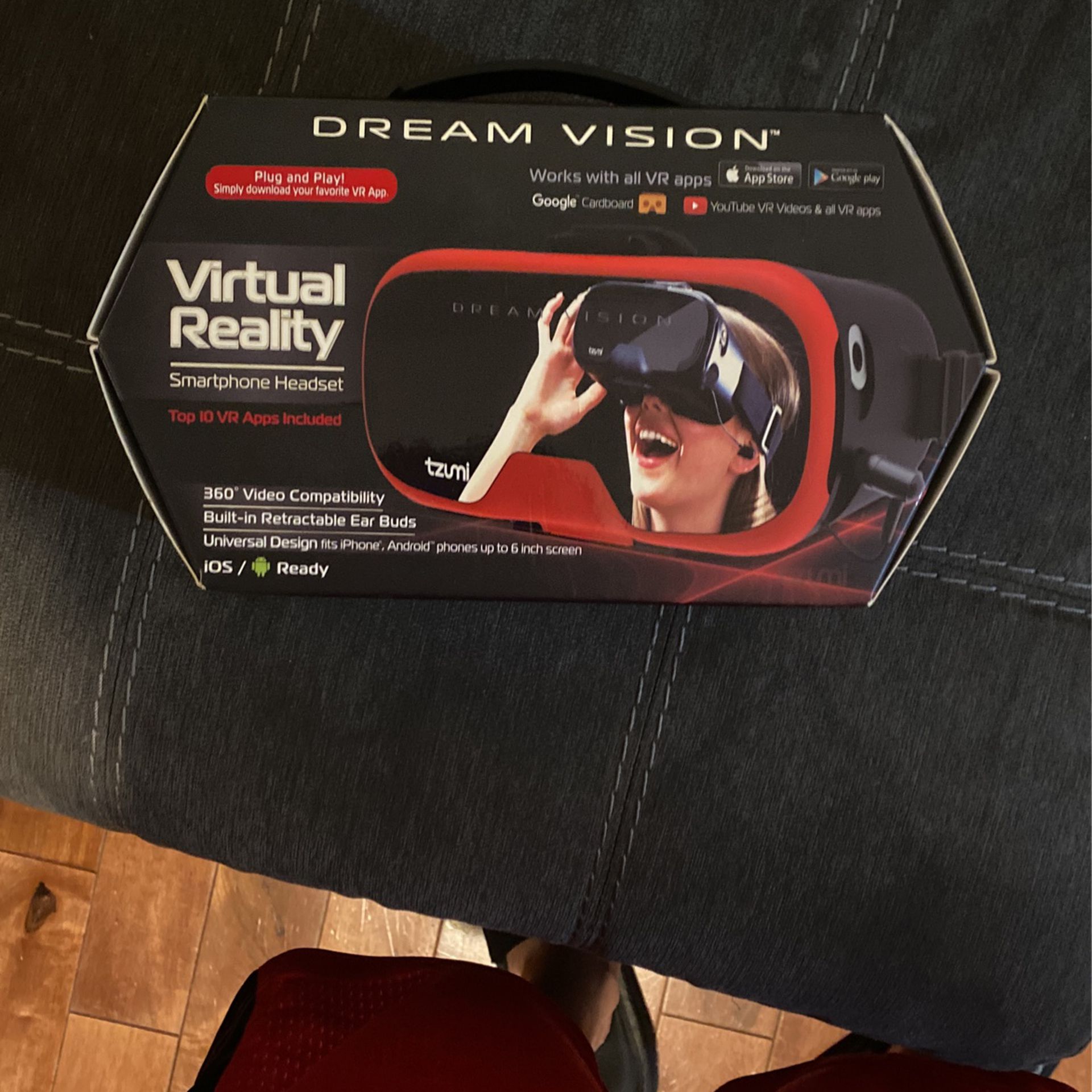 Dream Vision 