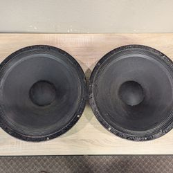 Yamaha (Eminence?) JAY6130 Speaker PAIR (8 OHM)