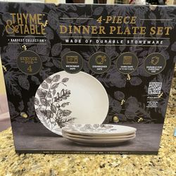 Dinner Plate Set New $10