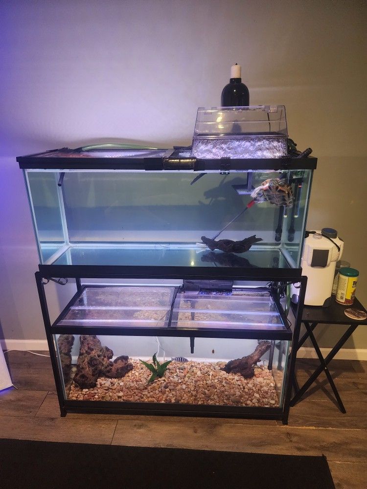 (2) 75 Gallon Aquariums With Pump Filter