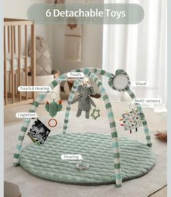 Brand New Blissful Diary Play Gym Mat