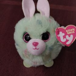 Beanie Babies The Beanie Balls Collection Kiwi NEW