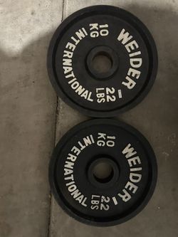 2 22lb Olympic Plates 
