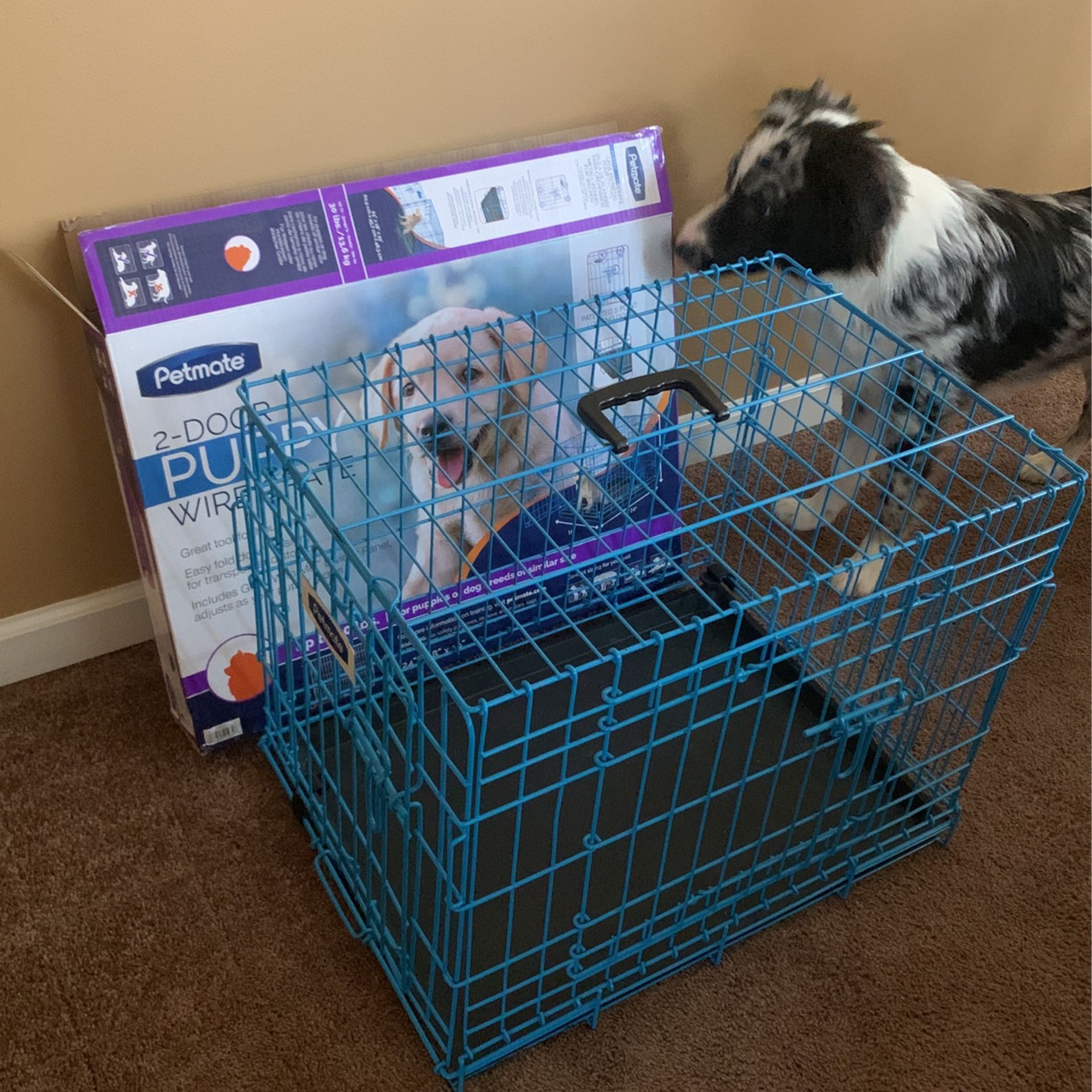 2-Door Puppy Crate