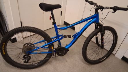 Mens blue bike
