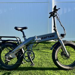Rattan 750w foldable ebike electric bicycle