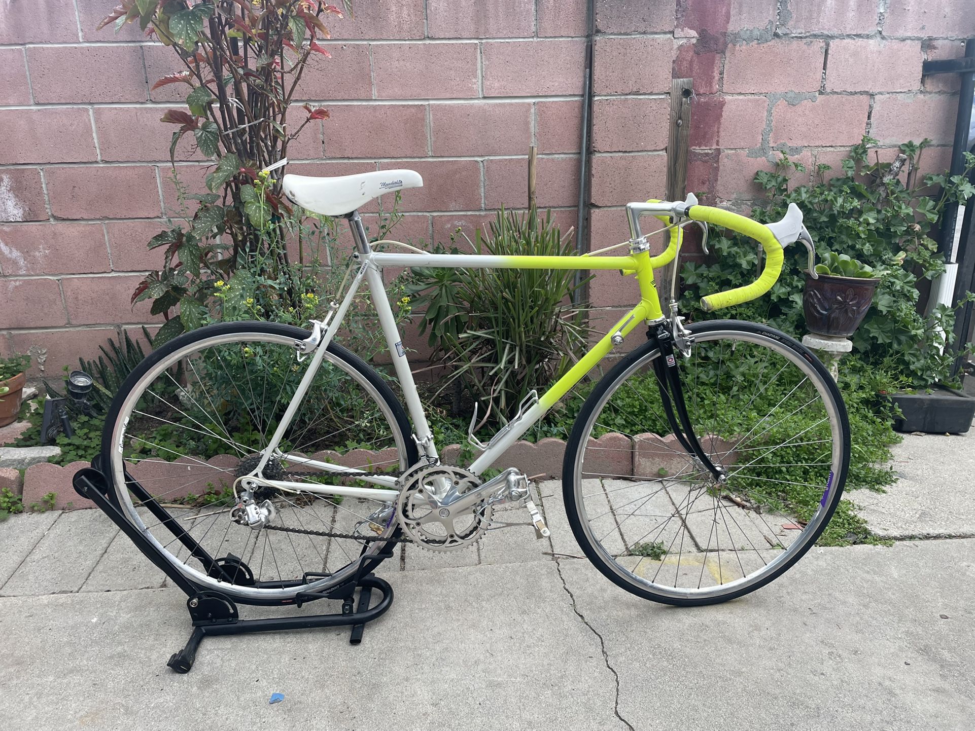 Road Bike Scapin