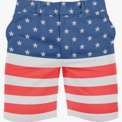 Tipsy Elves Classic-Fit Golf Shorts for Men