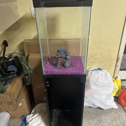Fish Tank