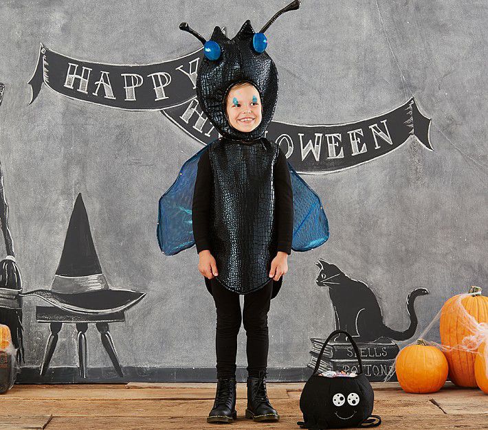 Pottery Barn Kids Light Up Bug Halloween Costumes